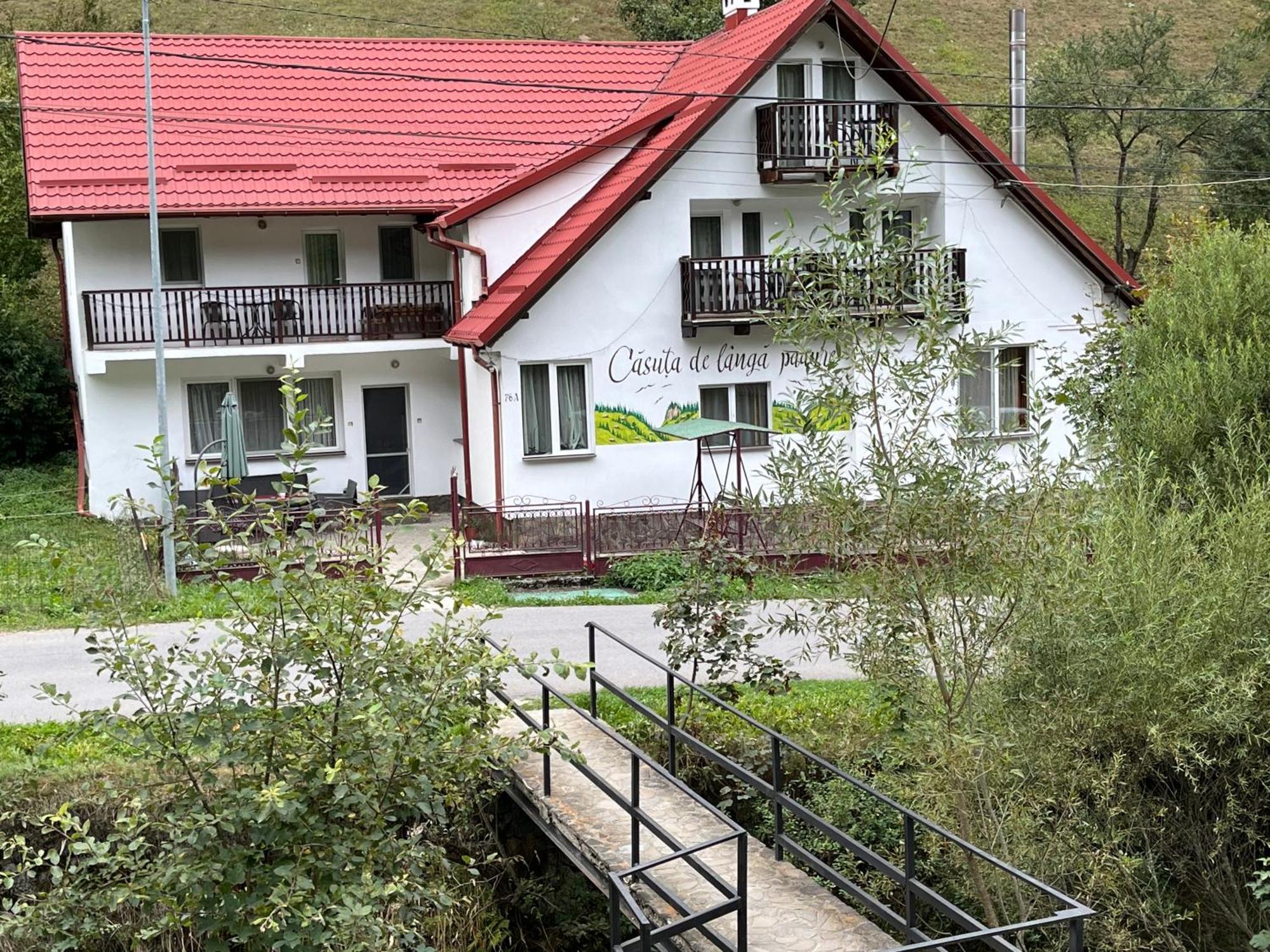 Casuta De Langa Padure Hotel Moeciu De Sus Exterior photo